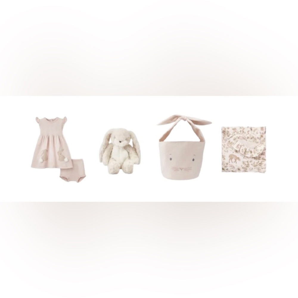 Little Bunny Dress Gift Set 12M BNWT